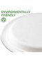 Bagasse Biodegradable Plate 7 inch Made From Sugarcane Plates 50 Pieces - 6
