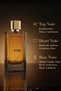 Steva Extrait De Parfum Unisex 80ml | Frankincense Cardamom Saffron Rose Oud Ambergris | Deep Rich Long Lasting Oriental Fragrance UAE - 3