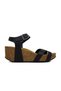 875087 Apure Negro - 3