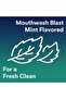 FRSH CLN 75CT FLS - 6