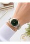 U.S. Polo Assn. Steel Cord and Case, Does Not Discolor, 2 Year Warranty, Women's Wristwatch, Usp.03 - 2