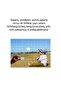 240 Pieces 30X40 Cm-Puzzle with Any Picture You Like - 3