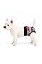 Small Breed Gray Neon Love Regli Laundry Dog Clothes (1-10kg)