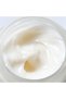Dynasty Cream Face Cream That Provides a Plump, Smooth, and Youthful Appearance 50 ml - 2