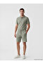 Classic Green Standard Fit Men's Shorts