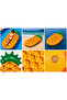 Deniz Yatağı Ananas Model - 4