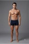 Cotton & Elastane Black-Navy Blue-Grey 3-Piece Men's Boxer Thcl1Vre005Rs - 2
