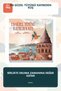 The Most Beautiful Bird Who Lost Its Feather: a Storybook for Children Aged 5+