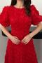 Women's Red Midi Rose Appliqué Balloon Sleeve Round Neck Lined Event Dress - 4