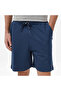 Regular Fit Men's Navy Blue Shorts - 4