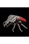Puzzle 3D Goliath Beetle - 4