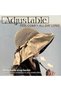 Women's foldable sun hat with UV protection and ribbon bag, new style, UPF 50+ sun protection and breathable beach hat, beige. - 3