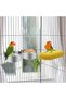 A set of 2 stainless steel parrot feeders, cage waterers, and bird feeders; dog-friendly. - 3