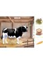 Animale domestice (mapa) - 2