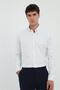 Men's Regular Fit Button-Down Collar Long Sleeve White - Navy Blue Striped Shirt