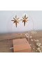 Polar Star Earrings