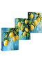 30x40 cm 3 Panel Gallery Wrapped Canvas | Lemon Tree Wall Art | Bright Yellow Kitchen Decor