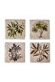 Olive Tree Patterned Travertine Single Coaster - 3