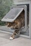 Exıt Cat Door Fly Screen Surface Compatible - 3