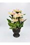 Seta Garden Flower Light Pink Black Vase 33 cm - 2