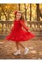 Small Polka Dot Bag and Buckle Fluffy Tulle Dress