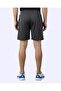 Elmo Short Men's Gray Regular Shorts - 5