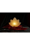 White Lotus Flower Model Salt Lamp with Wooden Base Decorative Ambient Lamp - 5
