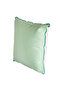 Green Crab Square Decorative Pillow - 2