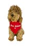 Free Kisses Cat and Dog Collar Scarf Bandana - 5