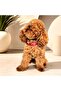 Red Paw Patterned Adjustable Dog Collar and Leash Set 3 Sizes S-M-L - 4