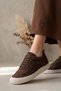 Elit Msl050 Women's Casual Shoes Brown