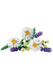 Botanicals Daisies 11508 - 3