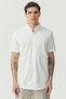 Button-Down Collar Regular Shirt