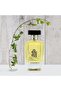 Extrait de Parfum For Men - Dunes, Oasis Collection - Luxurious Long Lasting Fragrance, 100ml - 4