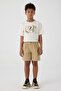 Boy Brown Shorts