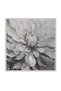 Black Peony Pattern Tivil Silk Scarf