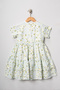 Girl's Mint Green Daisy Patterned Layered Dress with Ruffle Detail - 3
