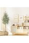 Artificial Trees,Olive Trees Artificial Indoor, 6ft/180cm Tall Faux Silk Plant White Planter, Fake Olive Trees with Natural Wood Trunk and Green Fake Moss for Home Office Decor