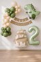 Retro Matte Dinosaur Themed 2Nd Birthday Balloon Set