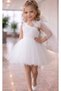 Girl's Guipure Tutu Dress Birthday Party Special Occasion Dress