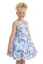 Girl's Evening Dress Floral Pattern Pleated Puffy Gown and Butterfly Bag Set - Birthday, Party, Wedding, Graduation (8Y, 9Y, 10Y, 11Y, 12Y) 33105Pr - 5