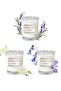 3-pack Scented Candles Gift Set for Women, Aromatherapy Candle for Home, Natural Soy Candles