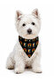 Adjustable Scarf, Chest Harness and Travel Strap Set of 3 - 4