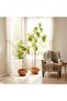 Glaucous Cassia Artificial Tree With Flowers H180cm - Yellow - 3