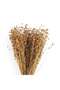 Tessi Dried Bouquet H50cm - Bleach - 3