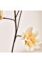 Orchid Artificial Stem Flower H101cm - Cream - 2