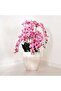 Orchid Artificial Potted Plant H110cm- Pink - 3