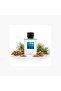عطر ترو إنستينكت للرجال - 75 مل - 2