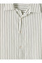 Khaki Regular Fit Striped Men's Shirt - 2