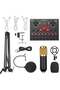 Professional Condenser Microphone Kit with V8s Sound Card and Adjustable Microphone Stand
